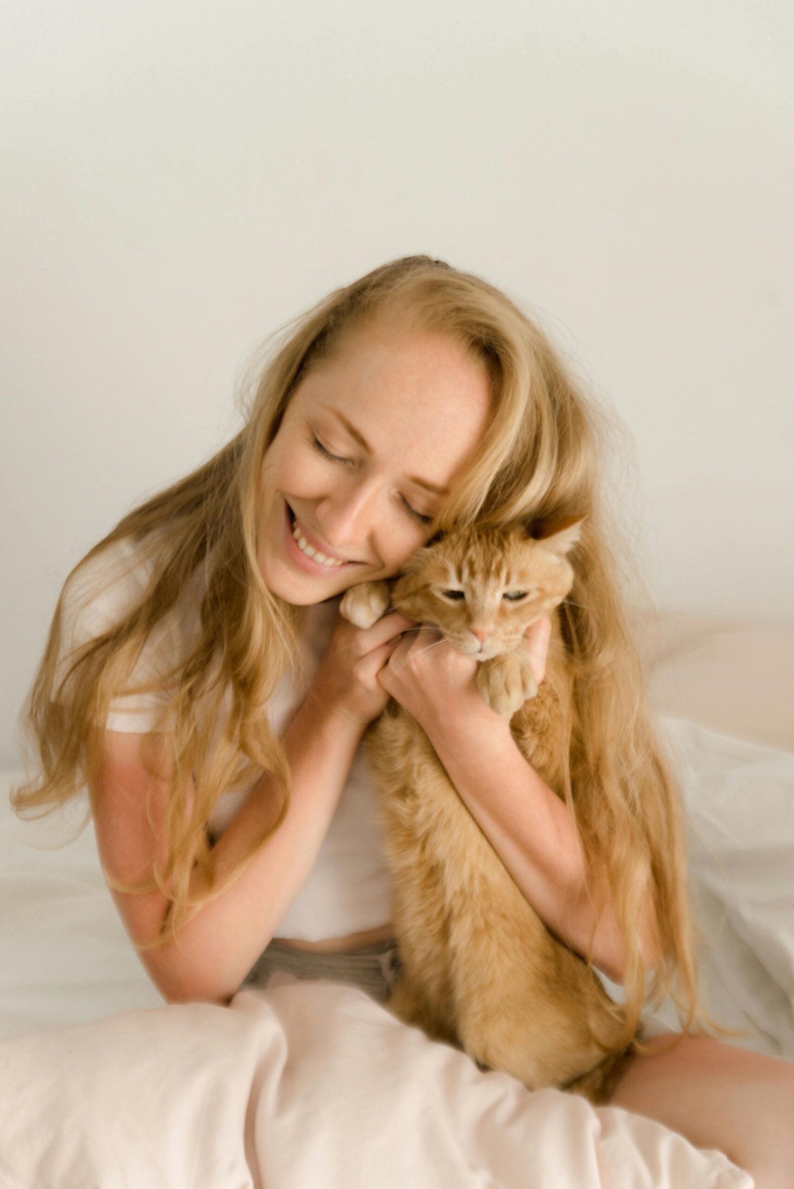 Kattenverzekering vergelijken