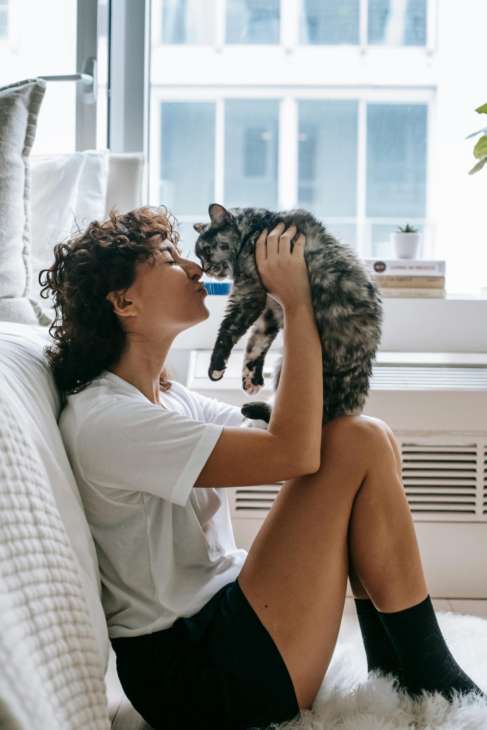 Onafhankelijk en betrouwbaar kattenverzekering vergelijken